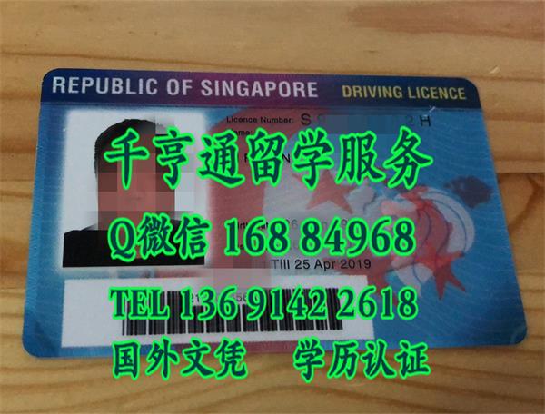最新最全新加坡考驾照流程，新加坡驾驶证在线购买，新加坡驾驶执照图片