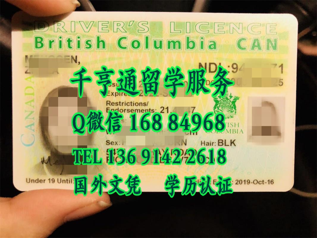加拿大不列颠哥伦比亚省驾驶证Canadian British Columbia Driver's License