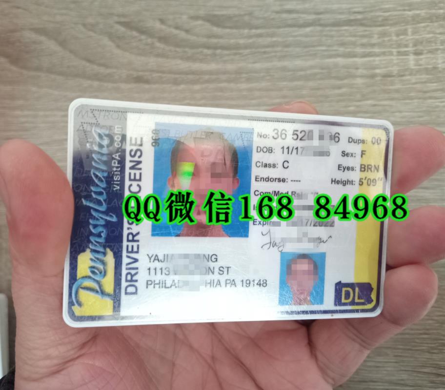 美国宾夕法尼亚州驾驶证Pennsylvania driver's license