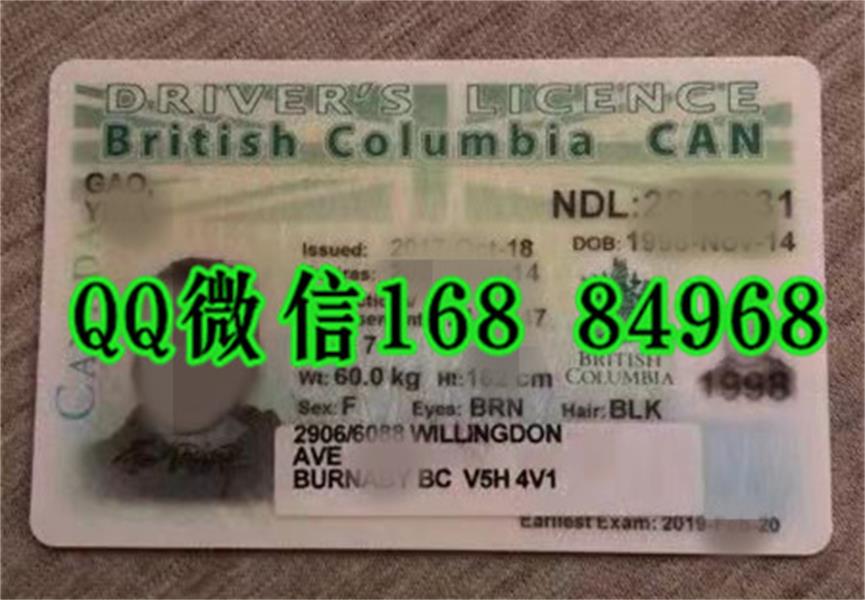购买加拿大驾照，加拿大不列颠哥伦比亚省驾驶证，British Columbia driver license licenseˈlīsəns license