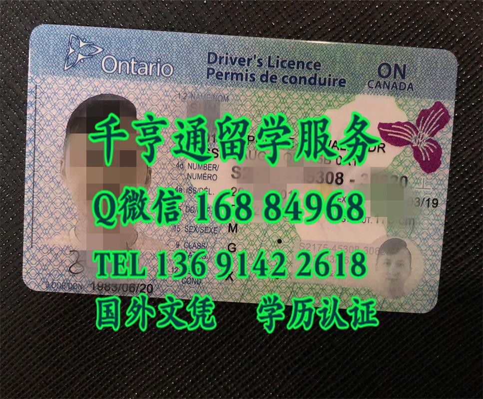 加拿大安省Ontario驾驶执照， Ontario Driving License