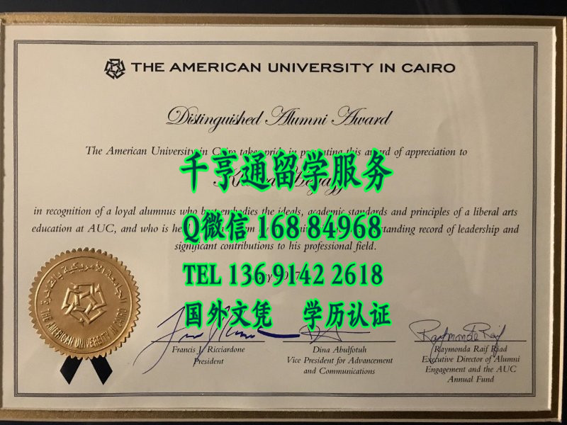 美国大学开罗分校毕业证，The American University in Cairo diploma