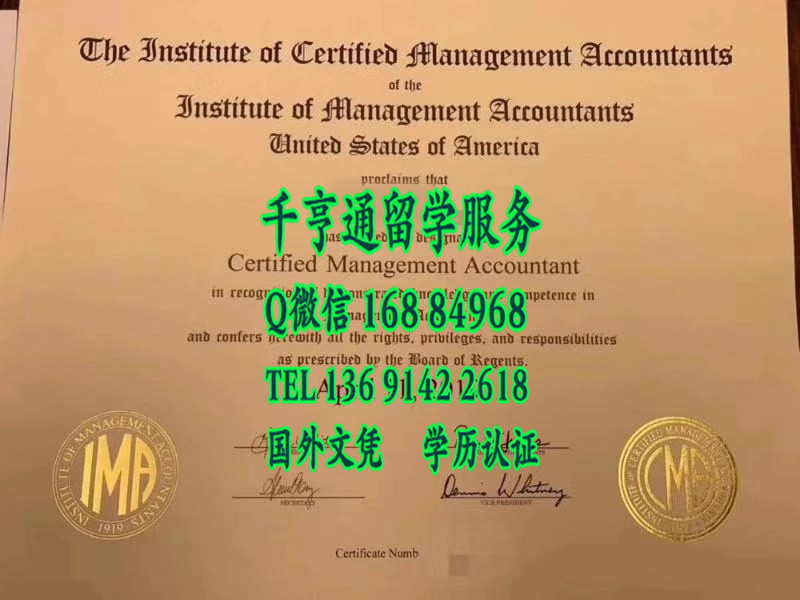 美国注册会计师证书Institute of Certified Management Accountants Institute of Management A