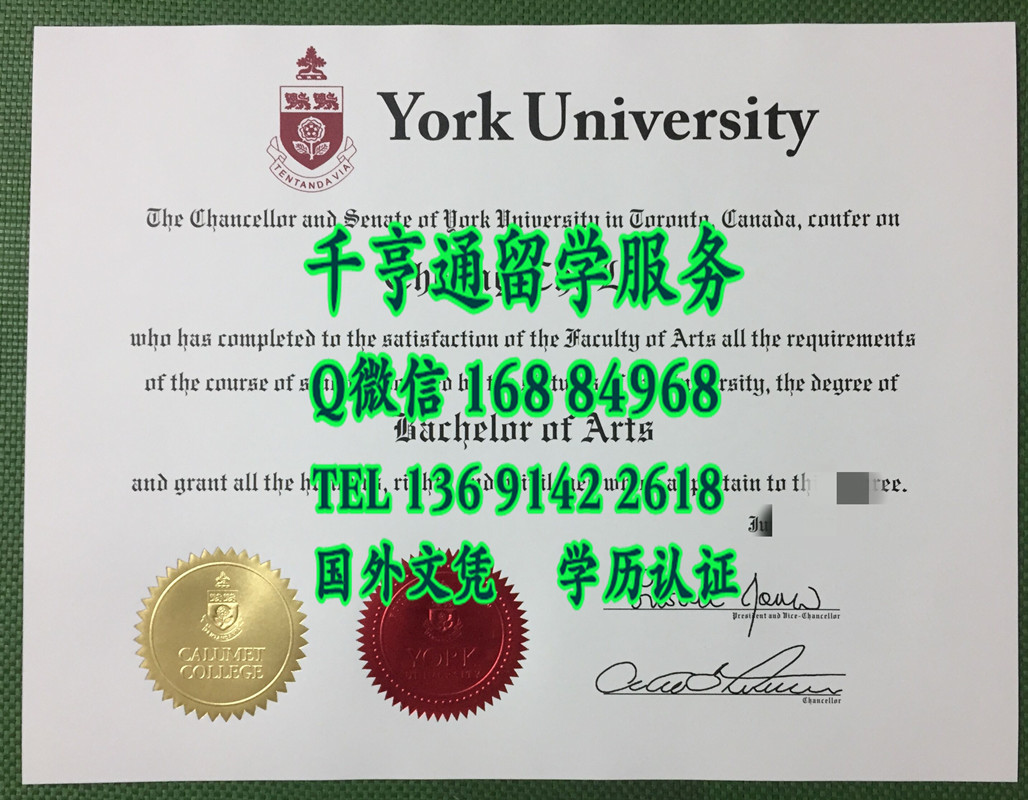 旧版本加拿大约克大学毕业证，York University diploma degree