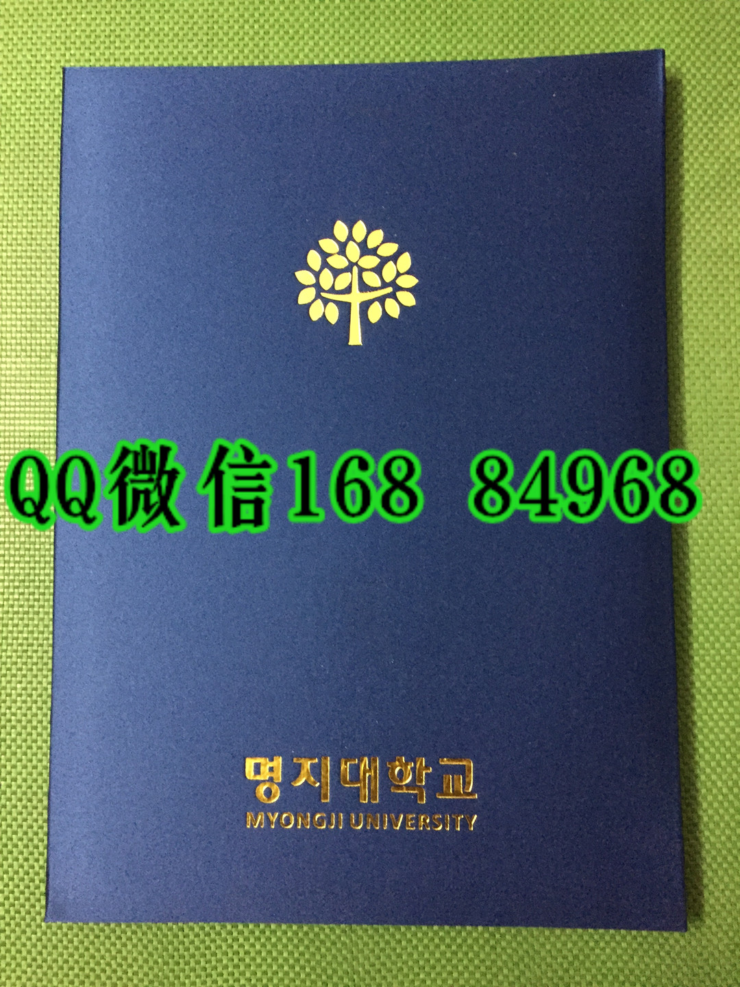 韩国明知大学毕业证外壳，myongji university diploma Cover