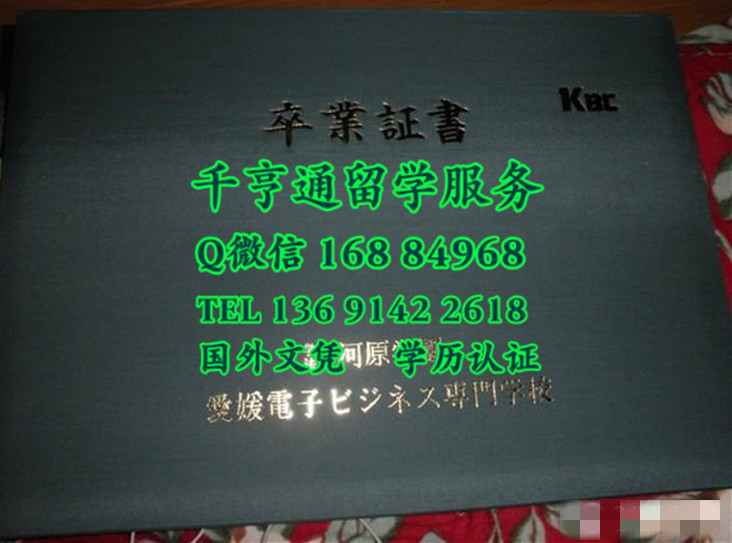 日本爱媛电子商务专门学校学位记外壳，日本卒业证书学位记封皮定制