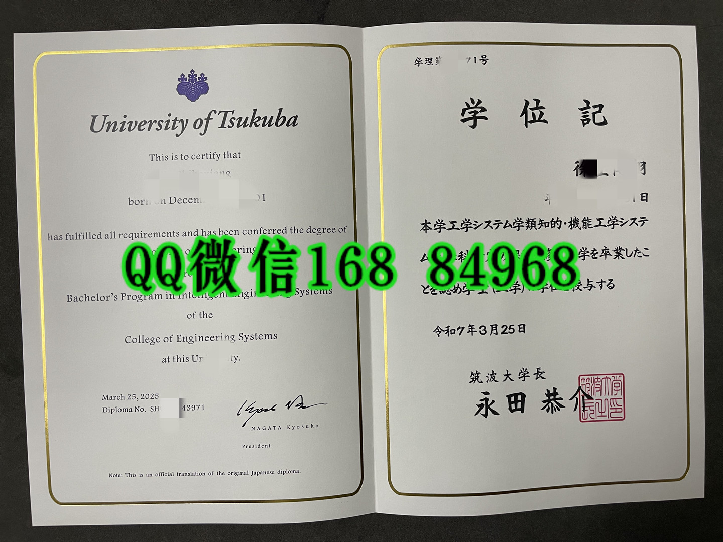 日本筑波大学学位记烫金，University of Tsukuba diploma