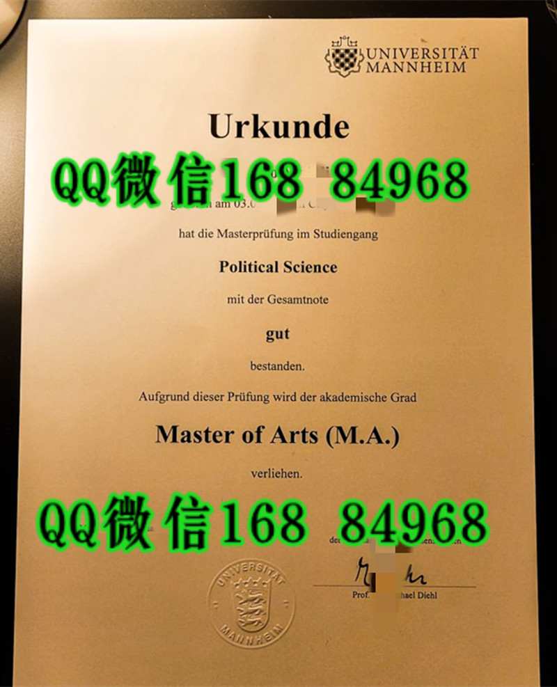 德国曼海姆大学毕业证学位证，University of Mannheim diploma degree