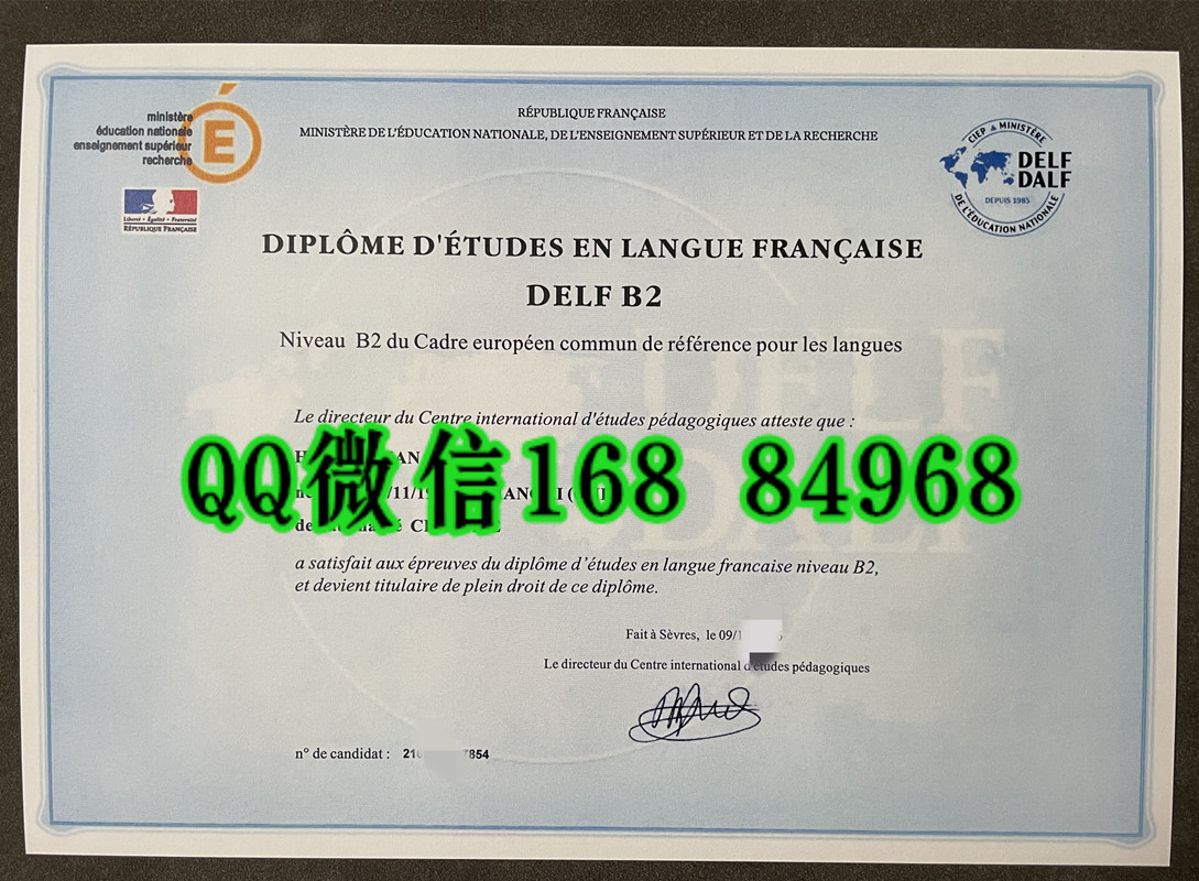法语学习证书（DELF）B2证书，DELF法语学习文凭